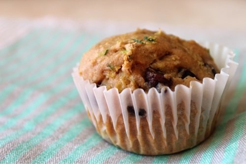 Zucchini Hazelnut Chocolate Chip Cake Zucchini Hazelnut Chocolate Chip Cake