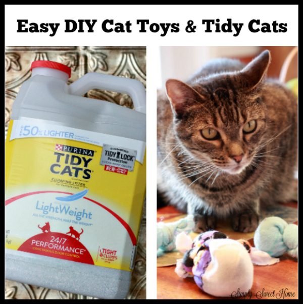 Easy DIY Cat Toys and Tidy Cats