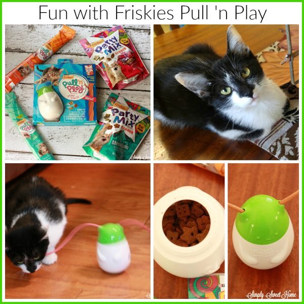fun-with-friskies-pull-n-play